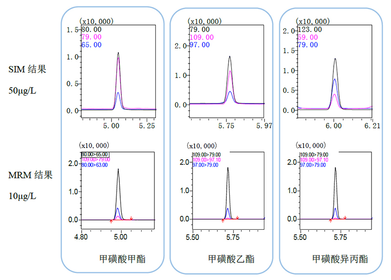 1774849499127894.jpg 20190619_02_003.jpg